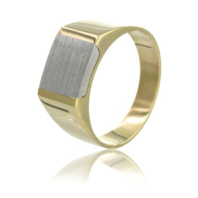 Χρυσό Ανδρικό Δαχτυλίδι 14Κ | Δίχρωμο | GDA010