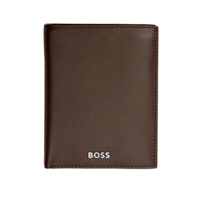 BOSS Classic Smooth Money Wallet Vertical Flap Brown HLO403Y